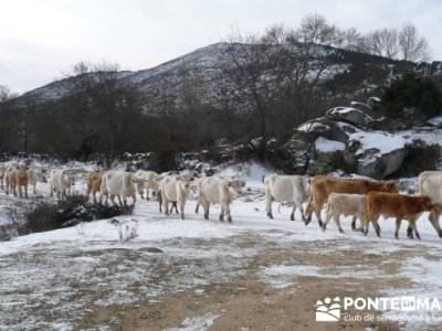 Valdemanco _ Buitrago del Lozoya - senderismo joven madrid; senderismo y montaña